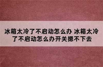 冰箱太冷了不启动怎么办 冰箱太冷了不启动怎么办开关摁不下去